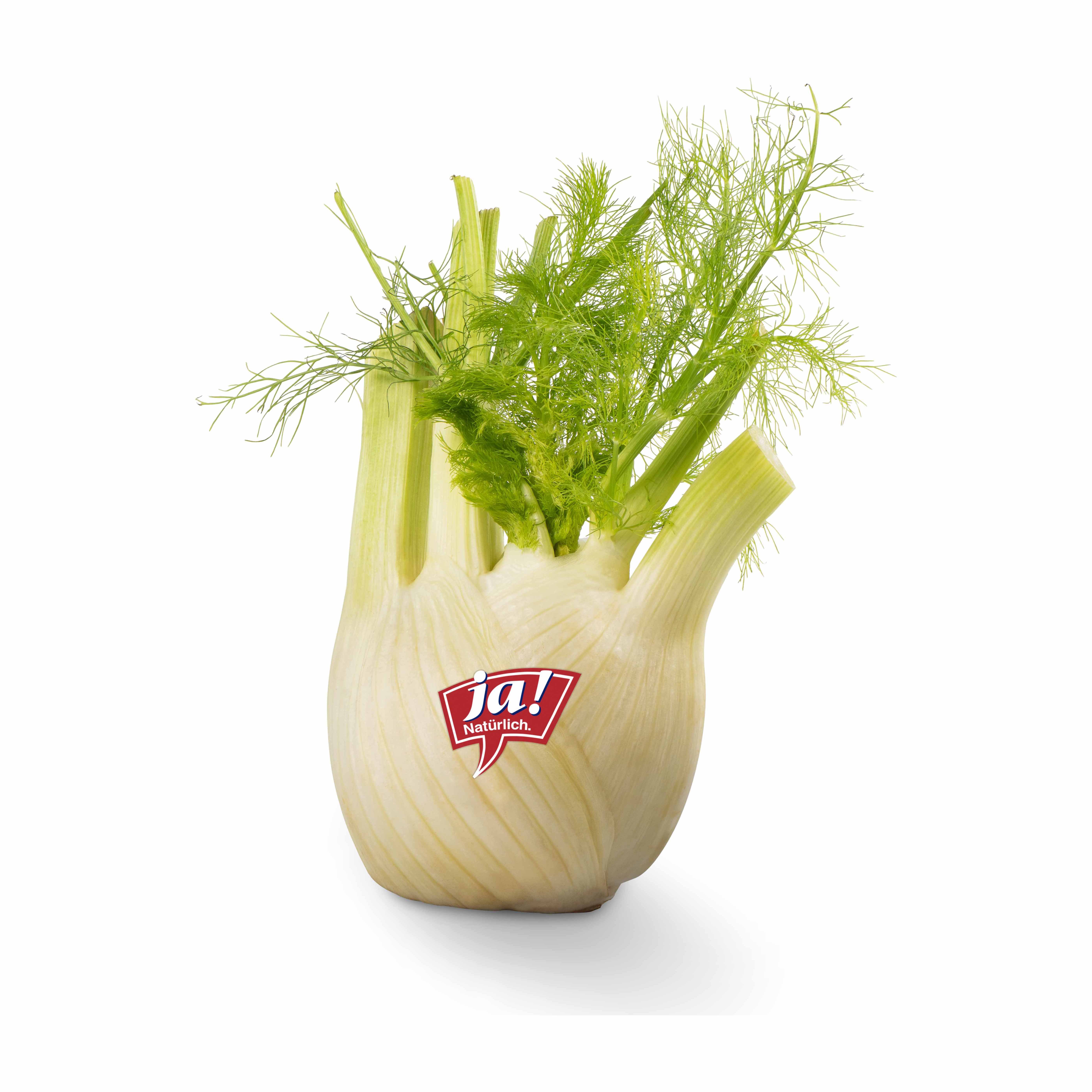 Ja! Natürlich Fenchel