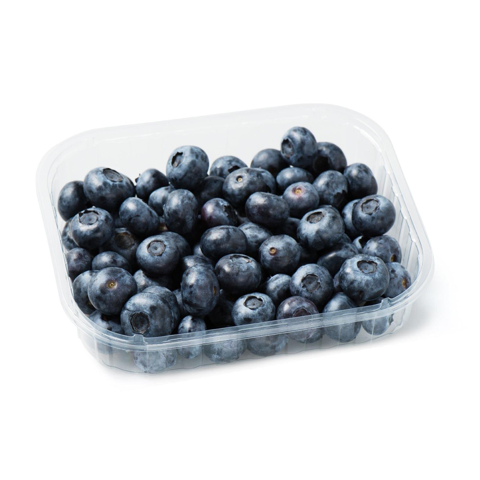 SanLucar Heidelbeeren