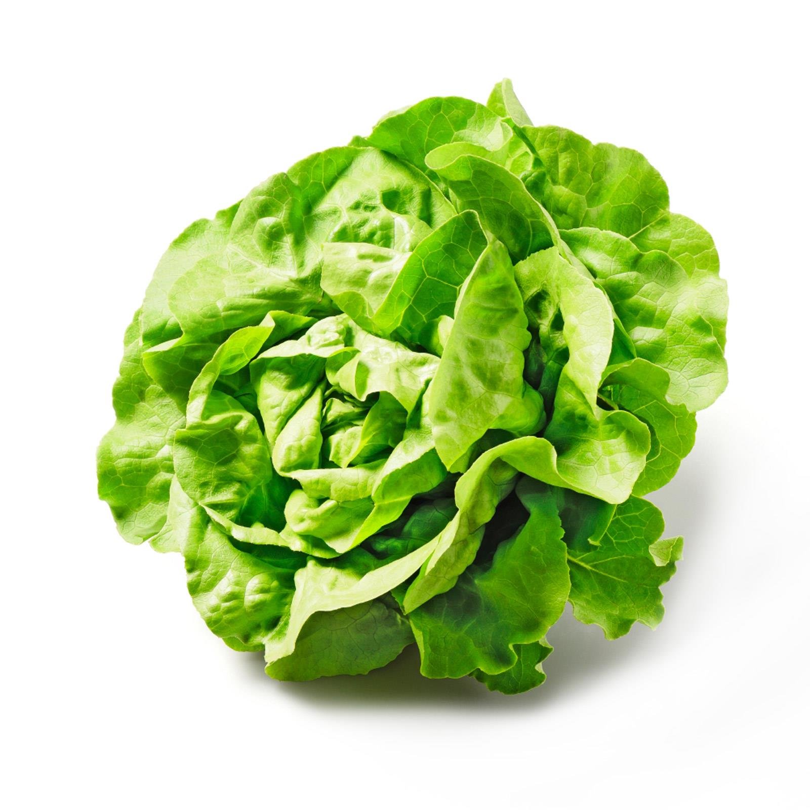 Da komm ich her! Häuptelsalat