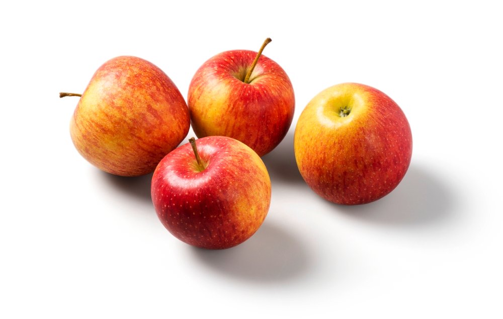 Apfel Evelina Tasse