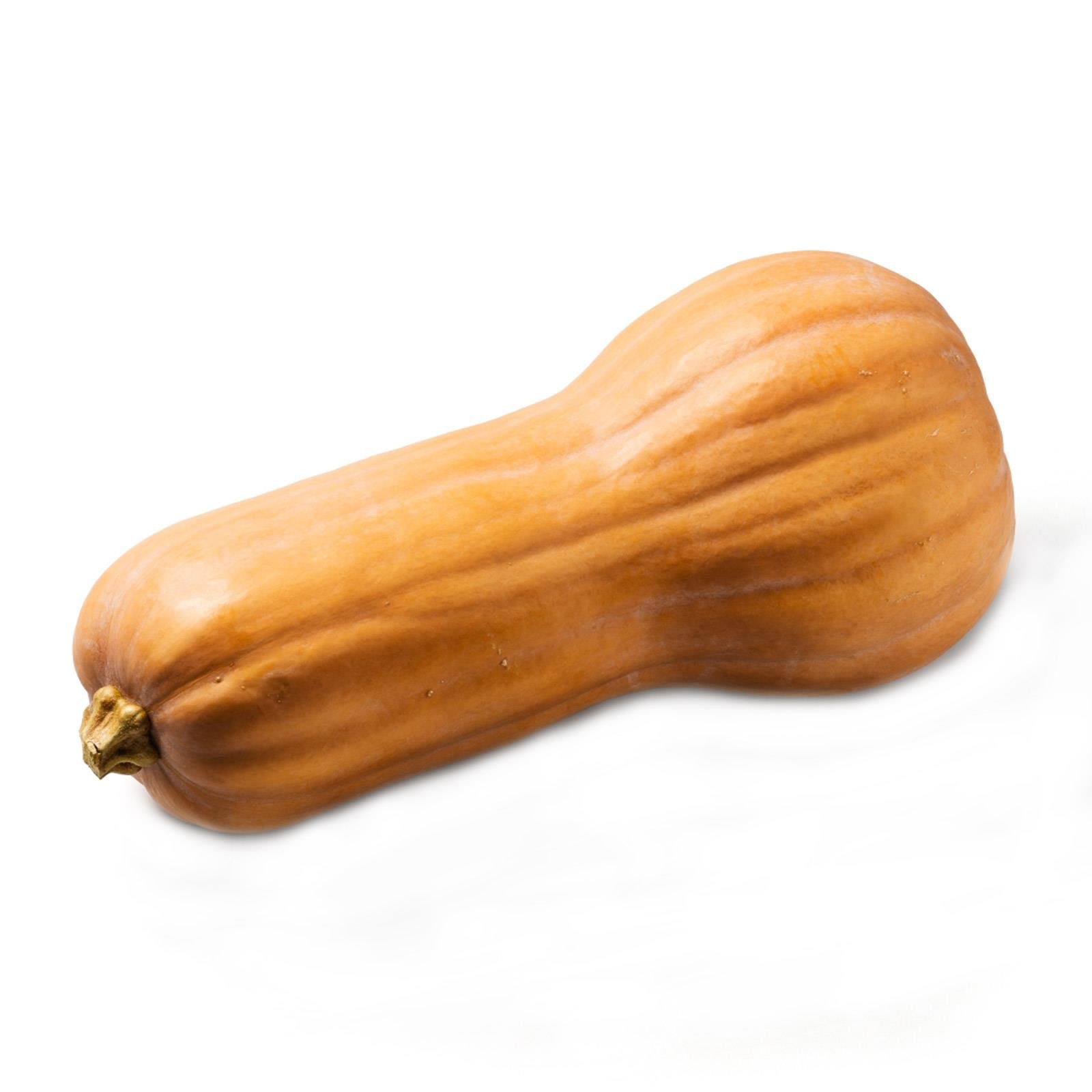Speisekürbis Butternuss