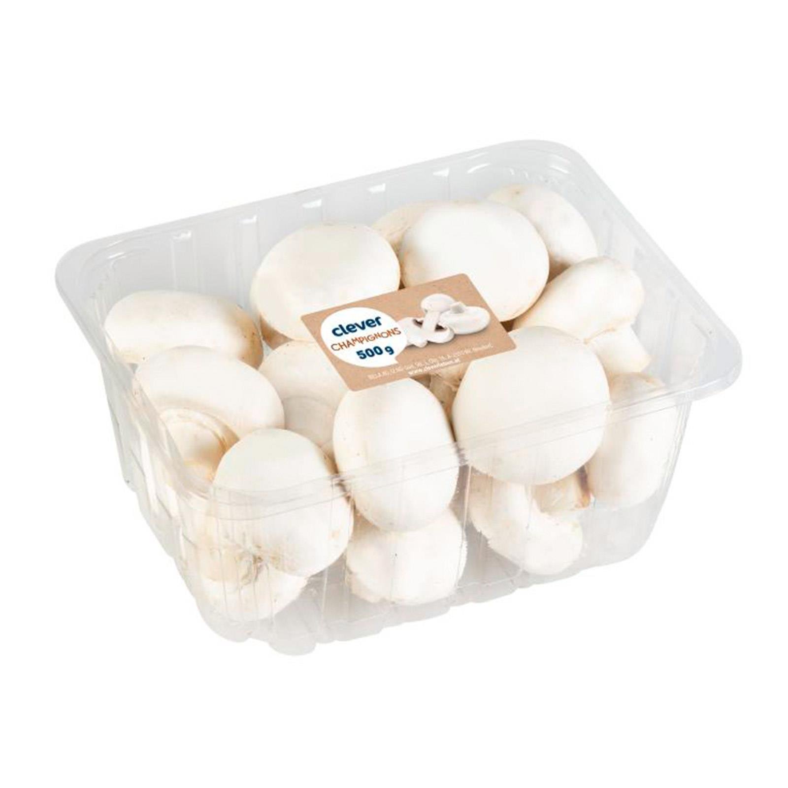 Clever Champignons