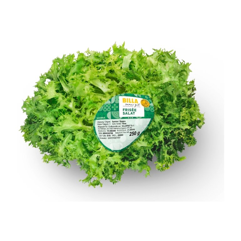BILLA Frisèe Salat