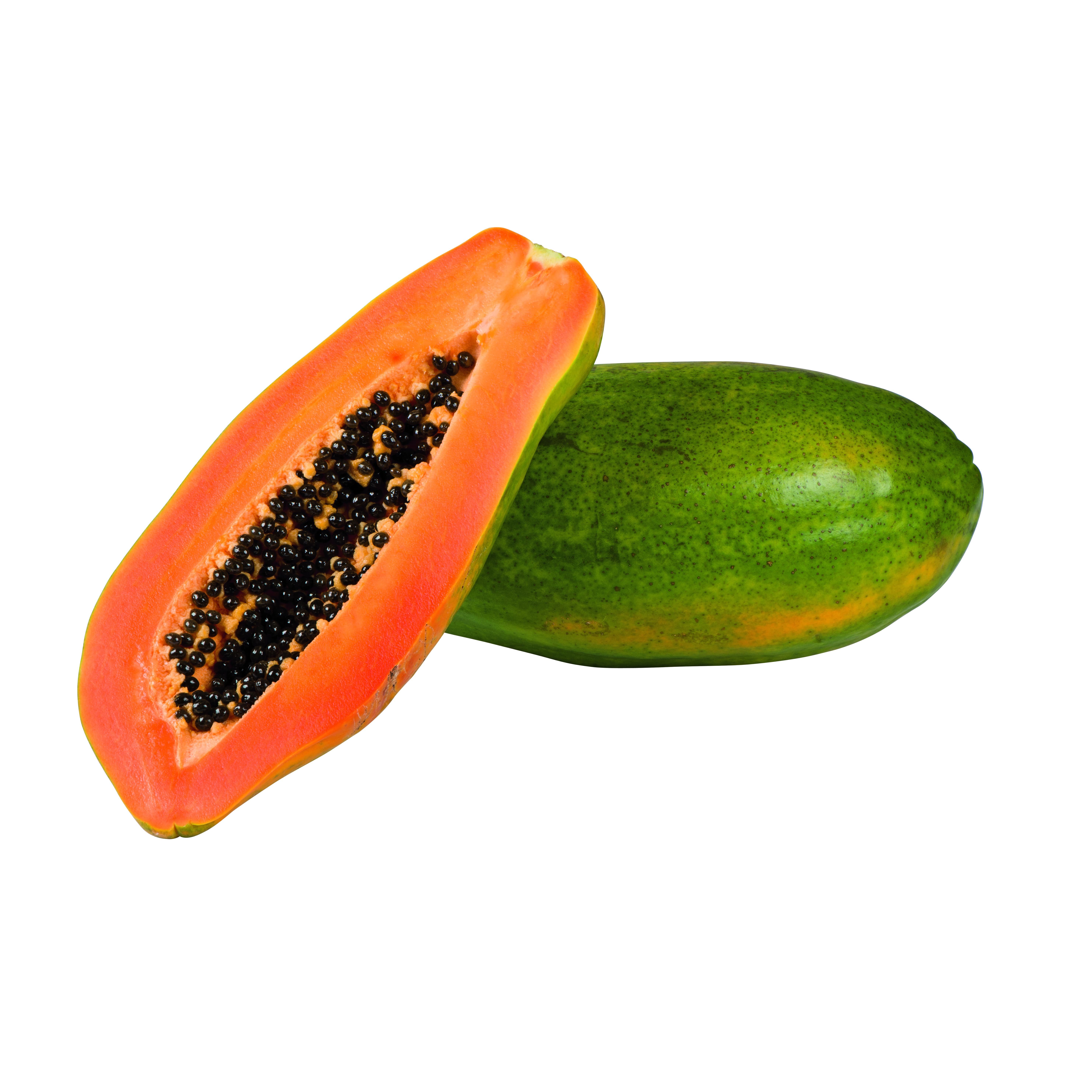 Riesenpapaya Formosa