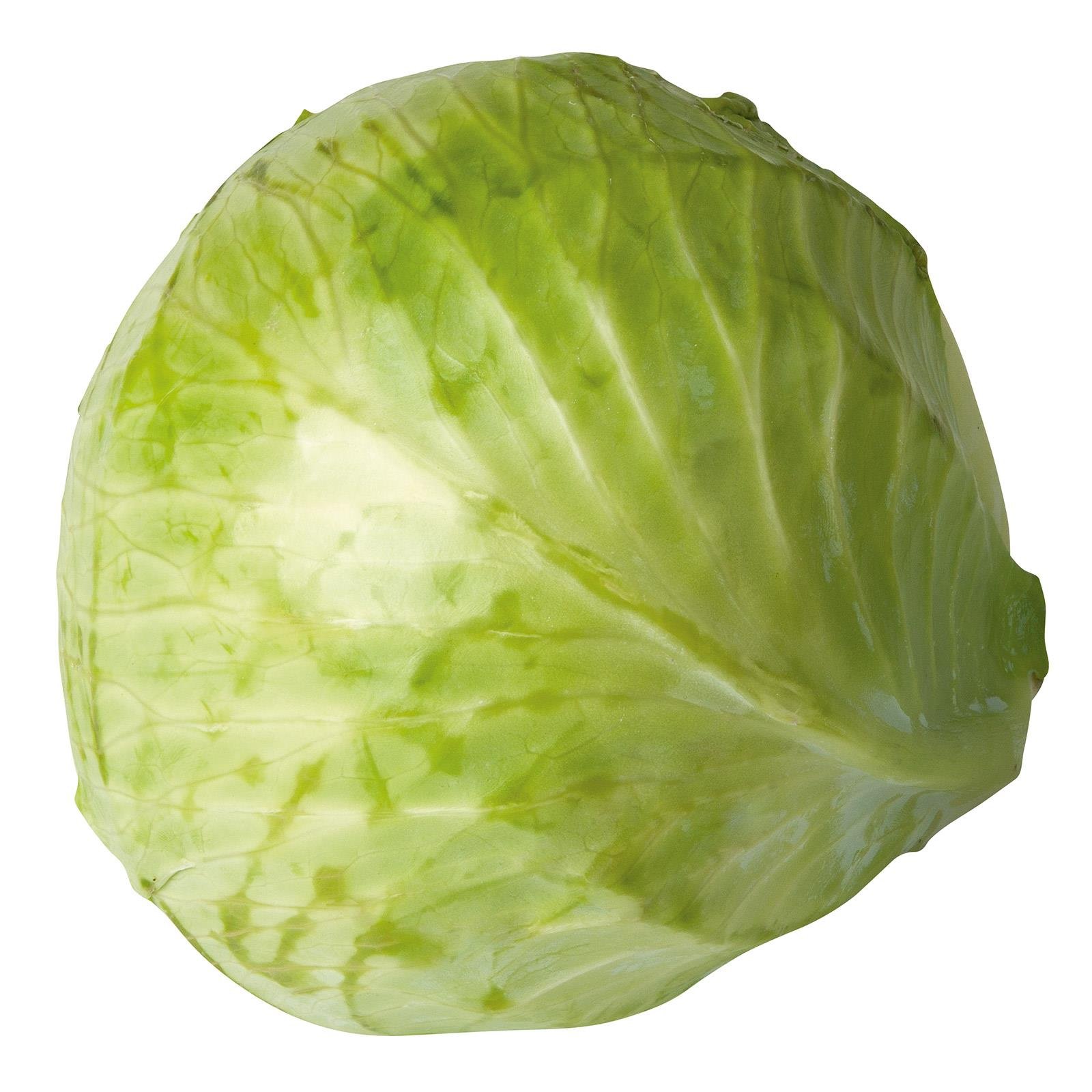 Da komm ich her! Weißkraut