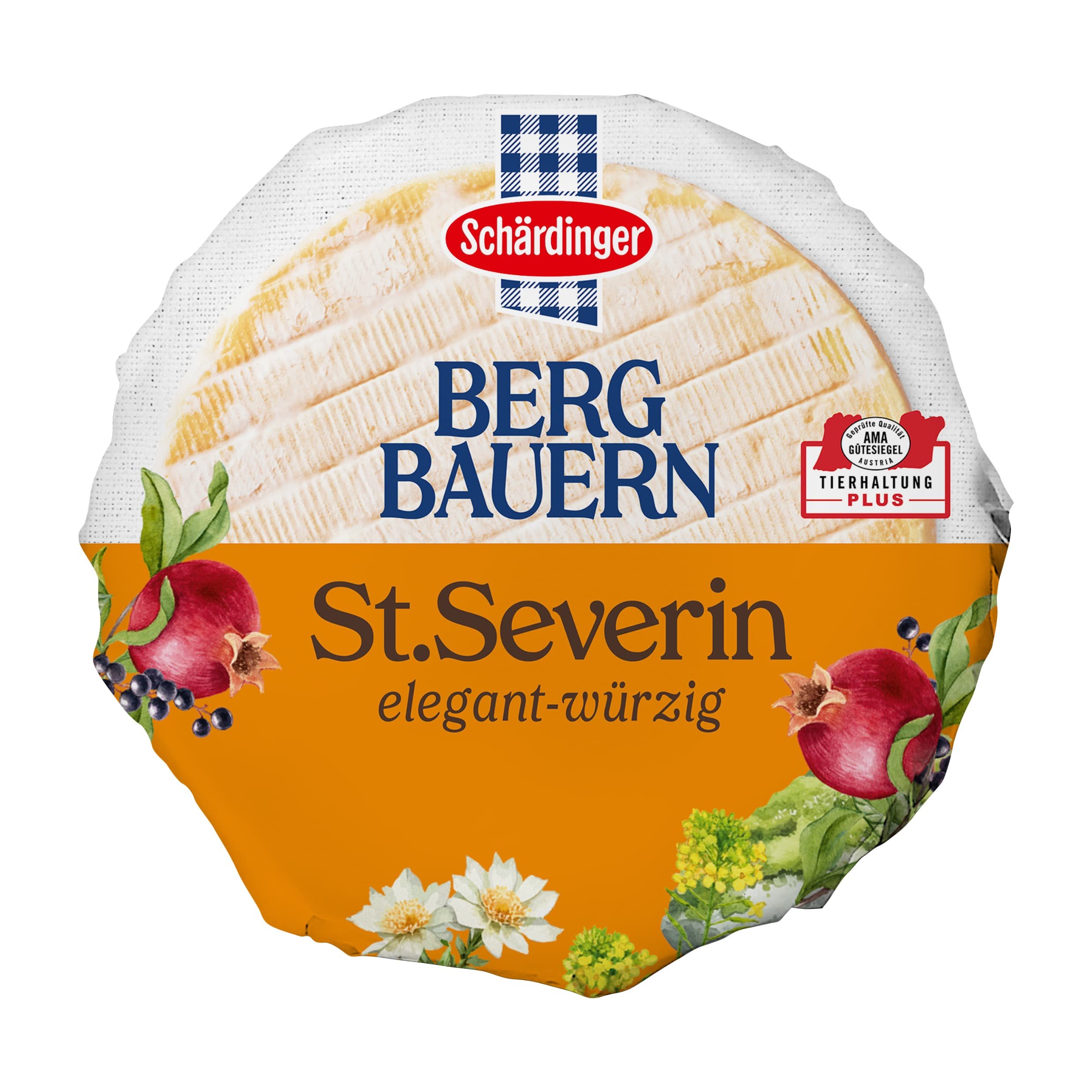 Schärdinger St. Severin