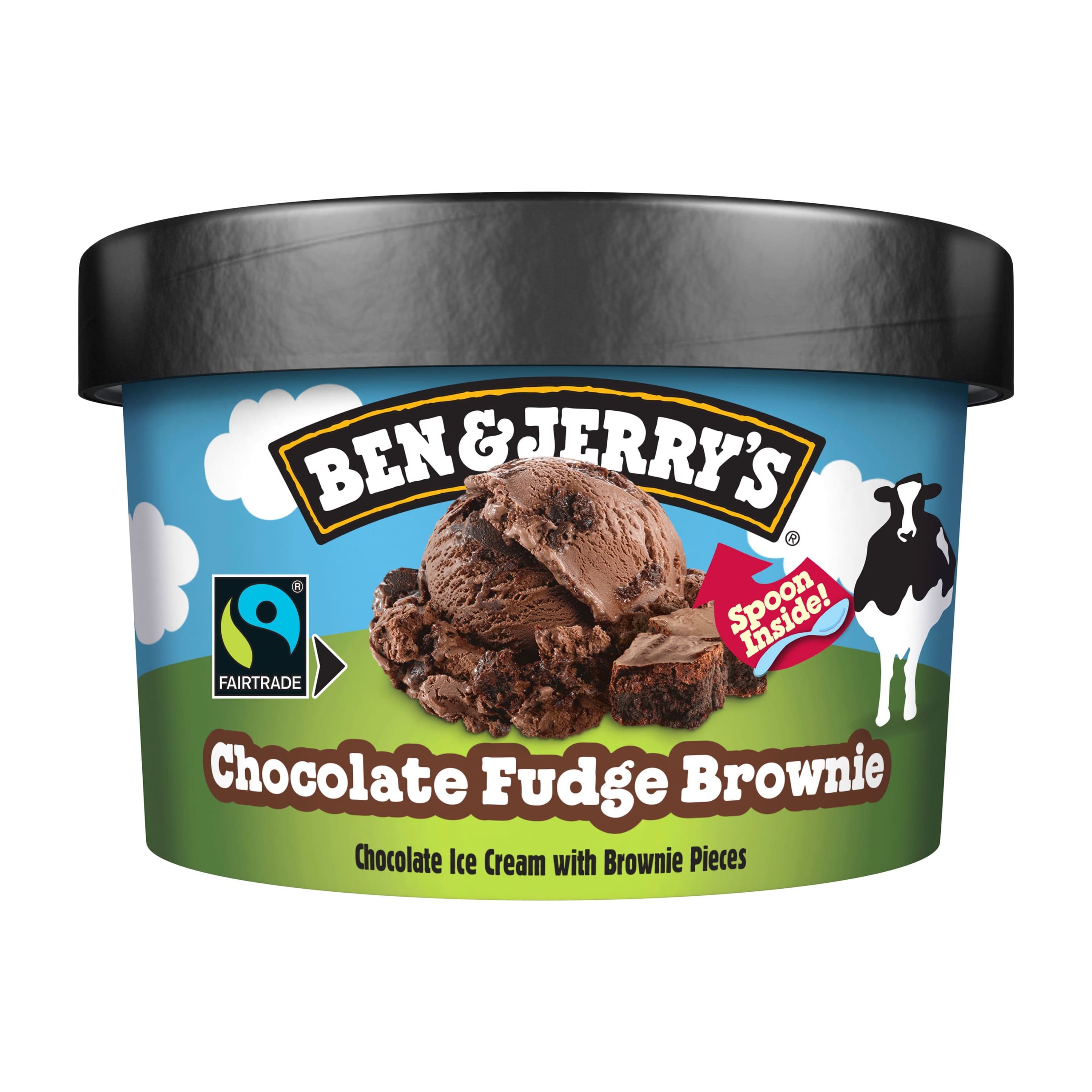 Ben & Jerry's Chocolate Fudge Brownie
