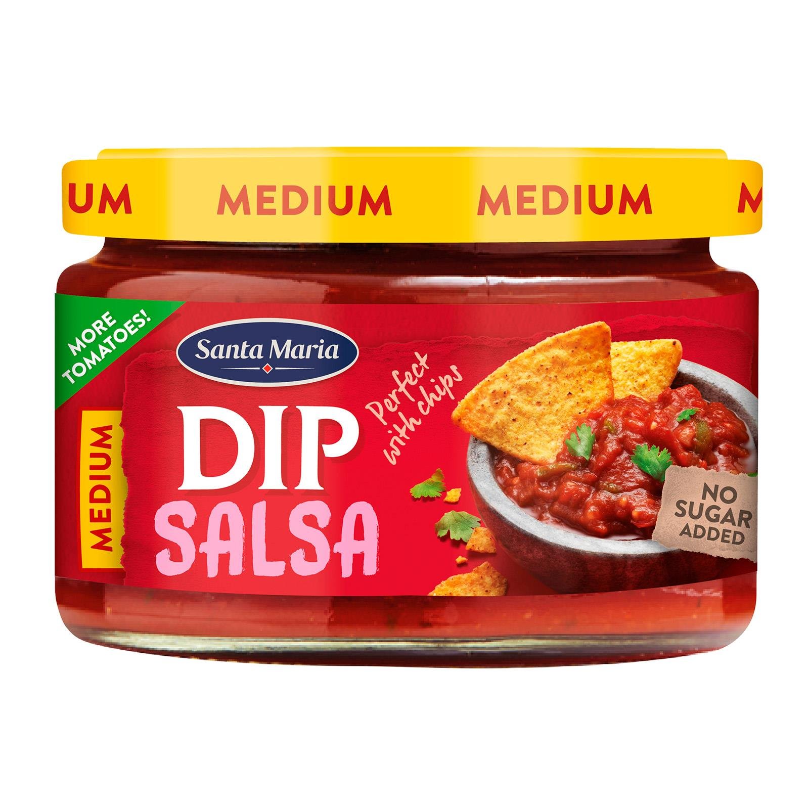 Santa Maria Salsa Dip Medium
