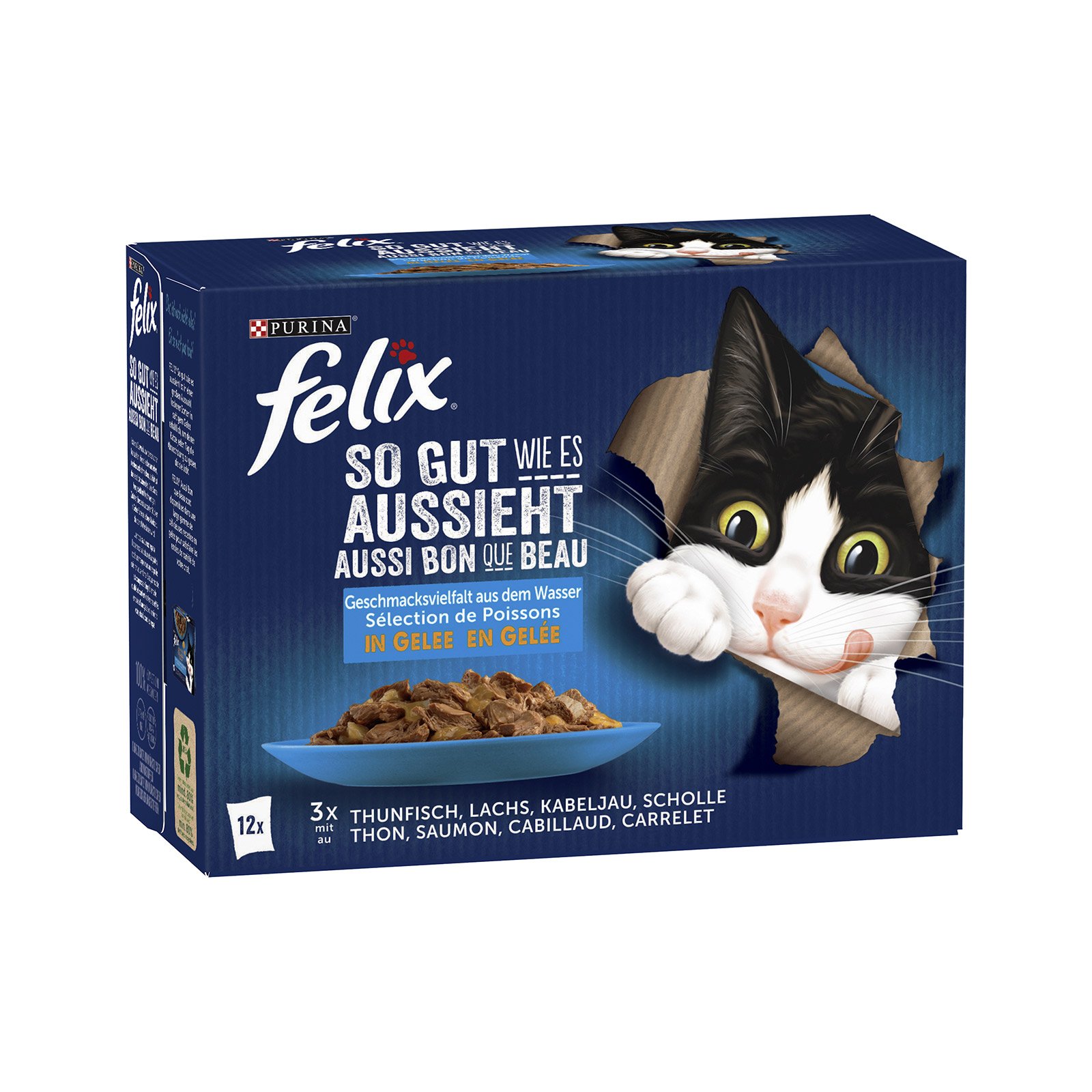 Felix So gut wie es aussieht Fisch 12er