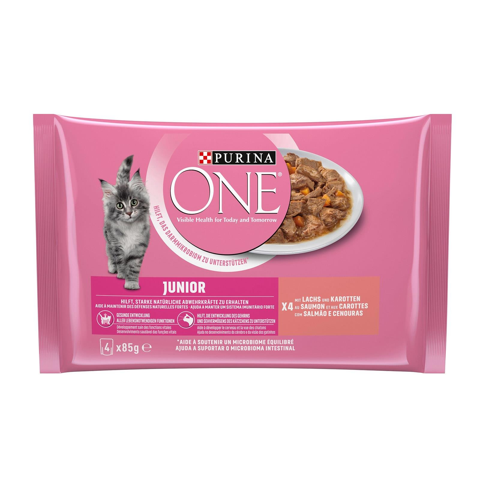 Purina One Junior Lachs & Karotten 4er